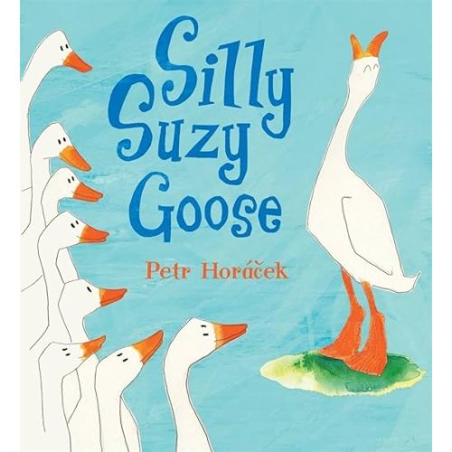 Silly Suzy Goose Board book – February 10, 2009