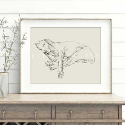 Black Labrador Retriever Sketch Art Print - Ethan Harper's Dog Drawing for Wall Decor