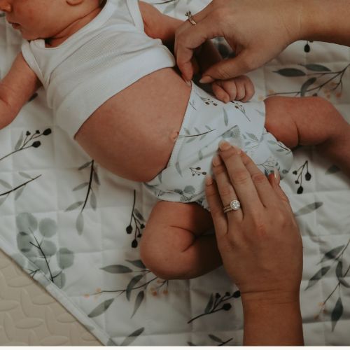 Full Time Wipes Bundle