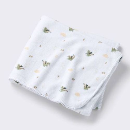 Plush Baby Blanket - Dragons - Cloud Island™