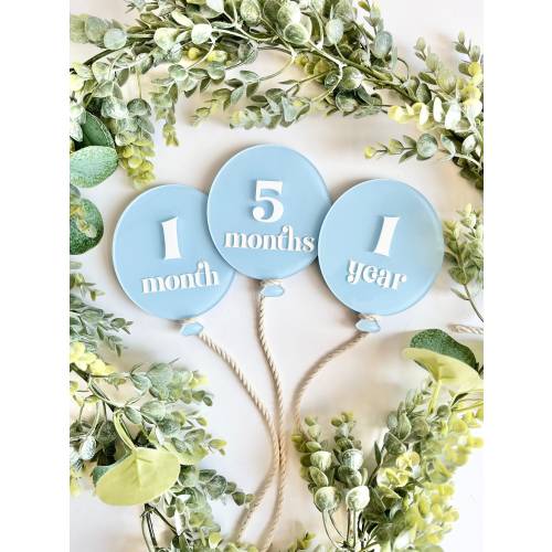 Interchangeable Monthly Milestone Set | Acrylic Balloon Monthly Milestone Set | Monthly Photo Props | Baby Shower Gift | Baby Keepsake