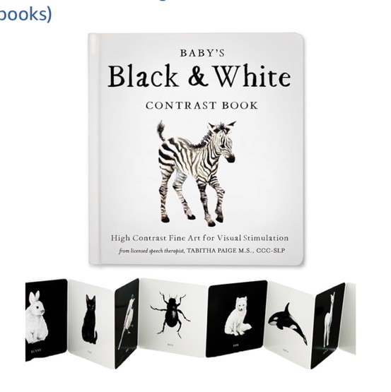 Baby's Black and White Contrast Book: High-Contrast Art for Visual Stimulation at Tummy Time (Tabitha Paige Children's Book Series)
