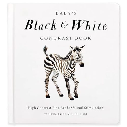Baby's Black and White Contrast Book