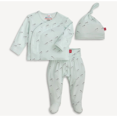 Magnetic Take Me Home Set – Magnetic Me