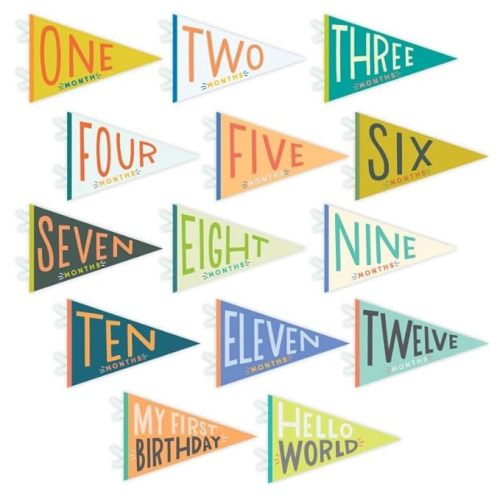 Lucy Darling Petit Milestone Pennants – Baby Monthly Milestone Pennant Flags – Newborn Photo Props & Felt Nursery Decor – Keepsake Banner Set for Baby Photos – Little Kaleidoscope