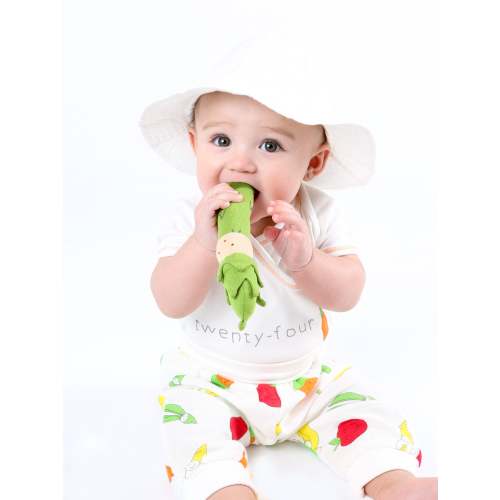 Asparagus Veggie Toy
