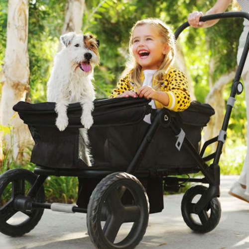 Ultra-lite Stroller Wagon