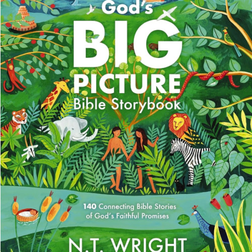 God's Big Picture Bible Storybook: 140 Connecting Bible Stories of God's Faithful Promises (God’s Big Picture Bible Stories)