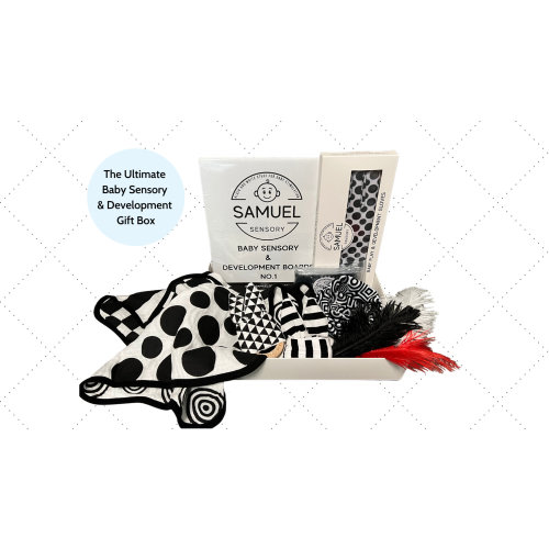 BABY Sensory Box Development Set, Toddler Busy Board, Kids Growth Activity Toys, Montessori Baby Gifts Basket, High Contrast Black And White