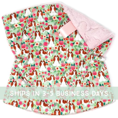 Lovey: Mint Floral Blenheim Cavalier King Charles Spaniel. Lovie. Minky. Pink. Dog. Girl. Flowers. Roses. CKCS. Soft. Baby Gift. PYO