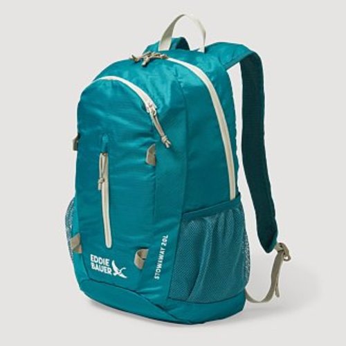 Danny's Diaper Bag - Stowaway Packable 20L Backpack