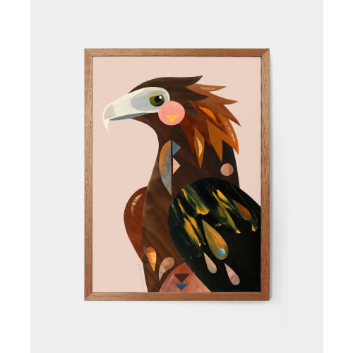 Wedge-tailed Eagle
