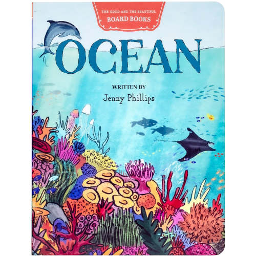 Ocean Board Book: by Jenny Phillips