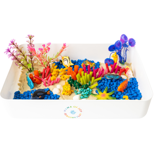 Coral Reef Sensory Bin