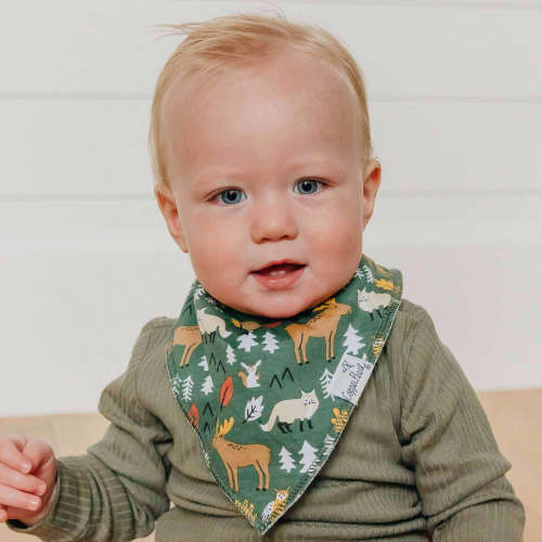 4 Pack Baby Bandana Bibs - Atwood