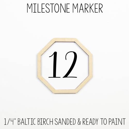 Octagon Milestone Marker, Baby Milestone Blanket Marker, Baltic Birch Wood Milestone Marker, Baby Shower Gift, Photo Prop, Month Marker