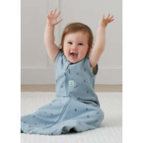 Sleep Sack 2.5 TOG Dragonflies 3-12 months, blue, green, or cream