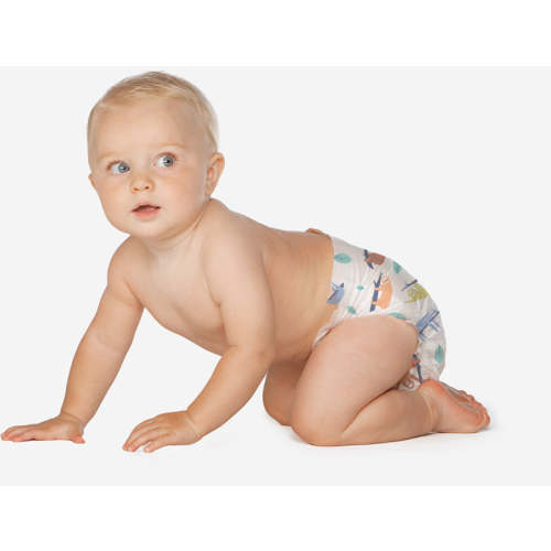 Diaper Fund – Hello Bello