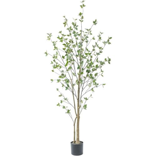 6ft Artificial Minimalist Citrus Tree with Lifelike Leaves, 72in Faux Citrus Tree with Realistic Trunks, Faux Tree Indoor Outdoor for Home Office Living Room Bedroom Porch Decor.