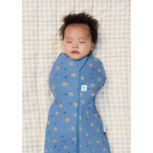 Cocoon Swaddle Sack 2.5 TOG Dragonflies
