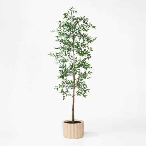Shady Lady Tree In Ceramic Pot - Threshold™ Designed With Studio Mcgee