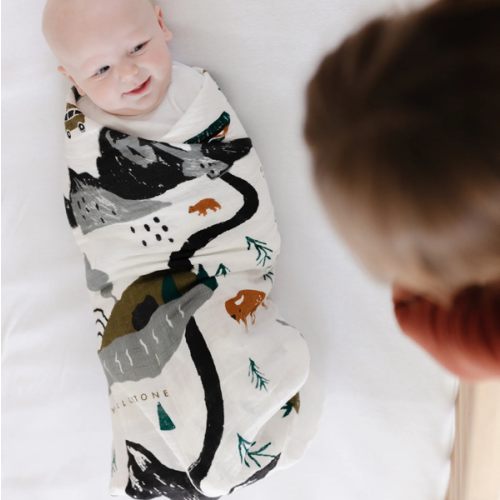 National Parks Swaddle
