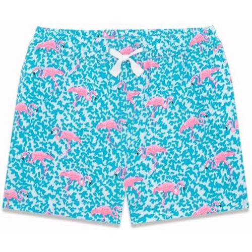 Chubbies Little Kids Classic Swim Trunks, 4-Way Stretch Toddler Shorts, Baby Shorts with Mesh Liner