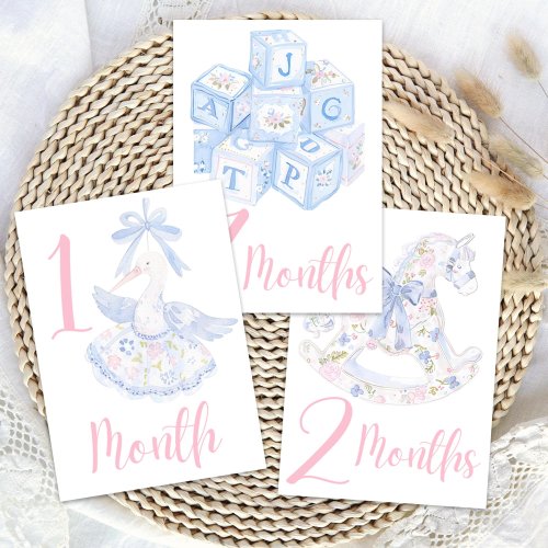 Watercolor Girl Milestone Card | Grandmillennial Milestone Sign | Monthly Milestone Marker | Baby Shower Gift | Baby Girl Photo Prop | 1093