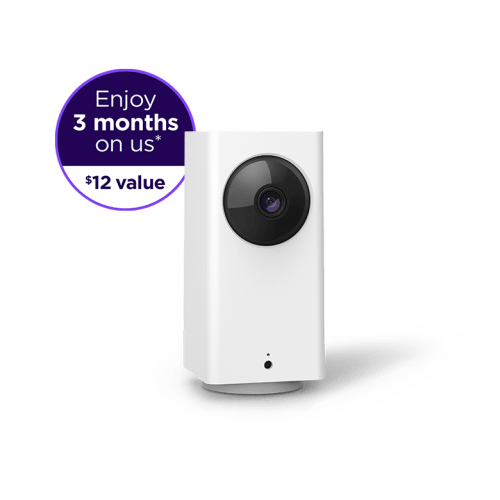 Roku Indoor Camera 360° | Indoor Security Cameras | Roku