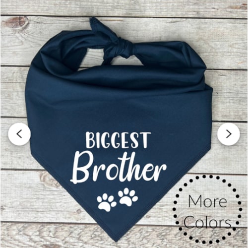Biggest Brother Dog Bandana, Pregnancy Announcement - Etsy