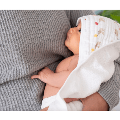 Elephant Circus Cotton Hooded Towel 2 Pack | aden + anais