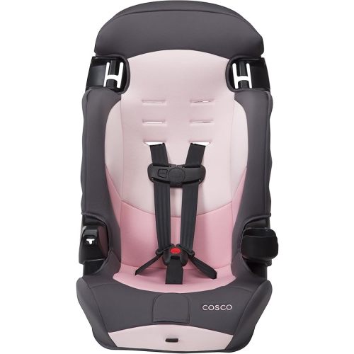Cosco Kids Finale DX 2-in-1 Booster Car Seat, Forward Facing Toddler Car Seat (30-65 lbs) and Belt Positioning High Back Booster Seat (40-100 lbs), Sweetberry
