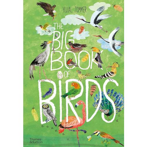The Big Book of Birds (The Big Book Series)