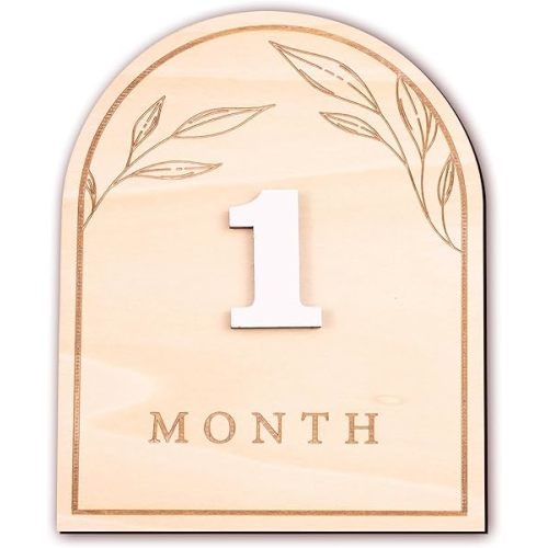 Baby Monthly Milestone, Wooden Baby Milestone Signs, Monthly Milestone Wood Discs, Baby Milestone Discs (Boho)