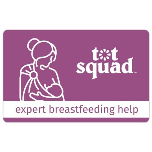 Tot Squad Breastfeeding Support with Certified Lactation Expert
