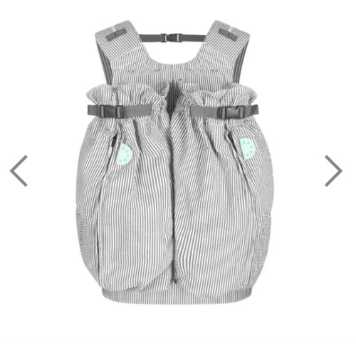 The Weego TWIN Baby Carrier