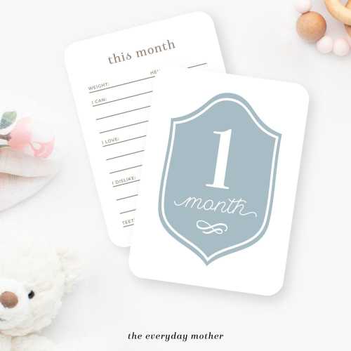 Monthly Baby Milestone Cards Set of 12 Months with Details on Cardstock | blue, green, neutral, baby boy, classic, cute, chic baby boy