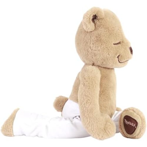Meddy Teddy The Yoga Bear
