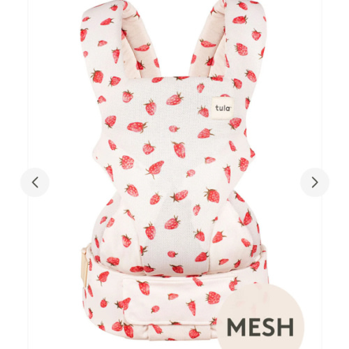 Strawberry - Mesh Explore Baby Carrier – Baby Tula US