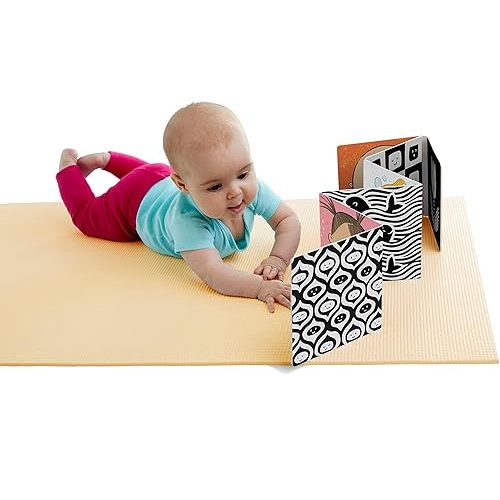 TummyTime(R): Happy Baby: A Sturdy Fold-out Book with Two Mirror for Babies. One Side Has High-Color Images, the Other Has High-Contrast Black and White Images.