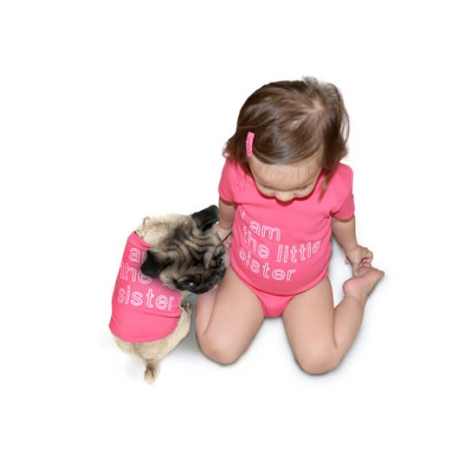 Big Little Sister/Brother  Baby Bodysuit and Dog Tee