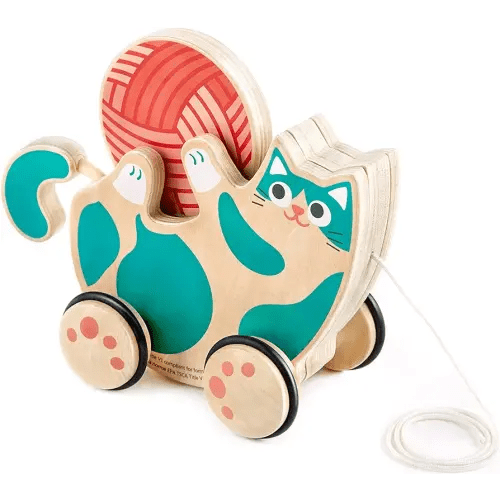 Hape Wooden Walk-A-Long Kitten Pull Toy| Roll & Rattle Push Pull Toy for Toddler| Montessori Toys for Walking Toddlers, Green