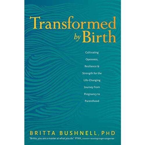 Transformed by Birth: Cultivating Openness, Resilience, and Strength for the Life-Changing Journey from Pregnancy to Parenthood