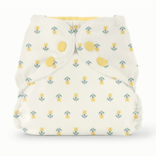 Outer–FW Buds / Two