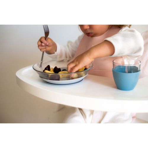 Glass Meal Set With Silicone Suction Bottom - Color: Jungle