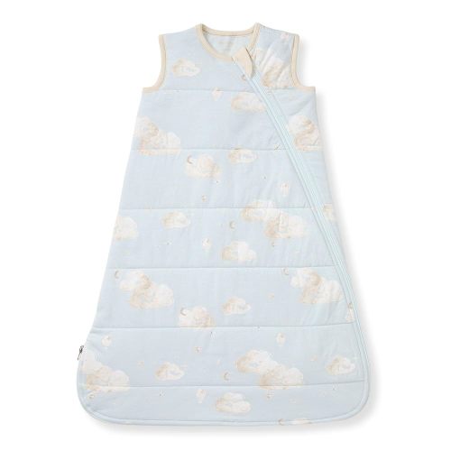 Burt's Bees Baby Unisex Newborn Essentials 100% Organic Cotton Beekeeper Wearable Blanket