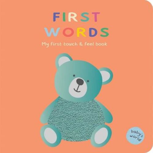 First Words: My First Touch & Feel Book - (baby's World) (board Book)