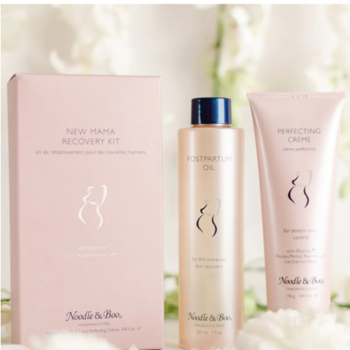 New Mama Recovery Kit - 4th Trimester – Noodle & Boo