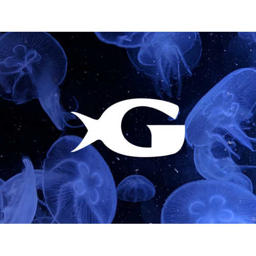 Gift Certificates - Georgia Aquarium
