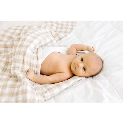 Organic Muslin Quilt - Gingham